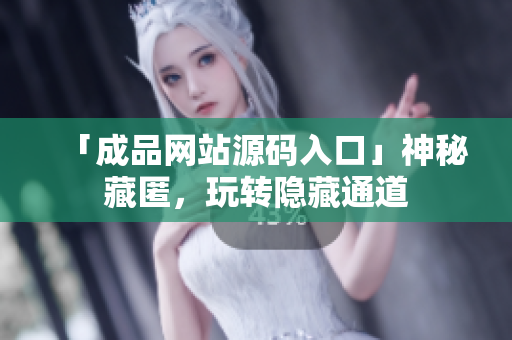 「成品网站源码入口」神秘藏匿，玩转隐藏通道