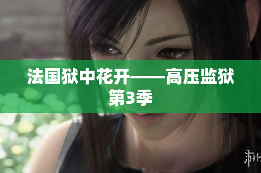 法国狱中花开——高压监狱第3季