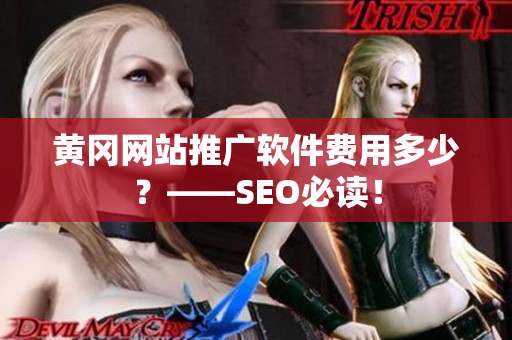 黄冈网站推广软件费用多少？——SEO必读！