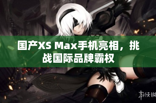 国产XS Max手机亮相，挑战国际品牌霸权