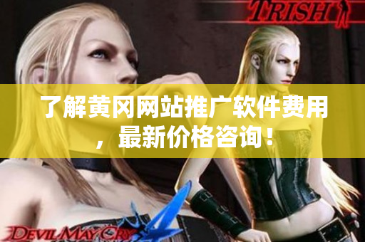 了解黄冈网站推广软件费用，最新价格咨询！