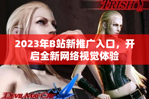 2023年B站新推广入口，开启全新网络视觉体验