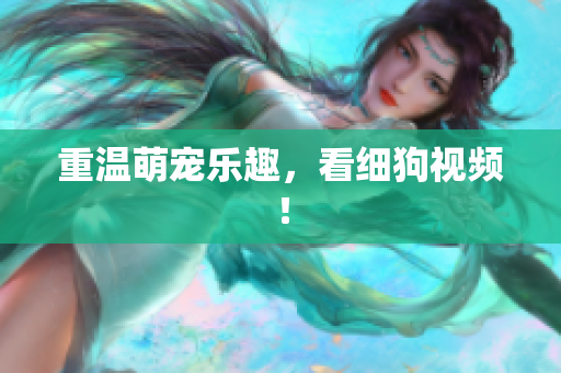 重温萌宠乐趣，看细狗视频！