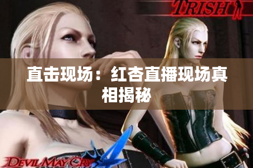 直击现场：红杏直播现场真相揭秘