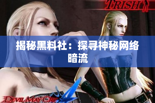 揭秘黑料社：探寻神秘网络暗流