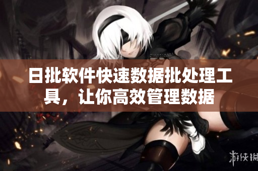 日批软件快速数据批处理工具，让你高效管理数据