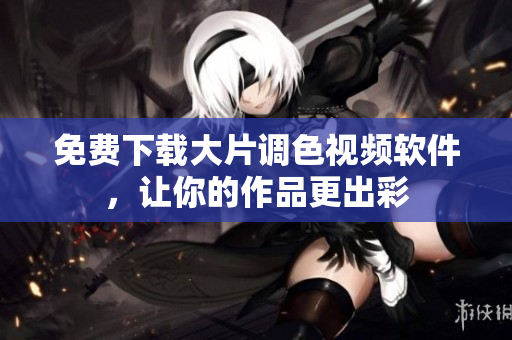 免费下载大片调色视频软件，让你的作品更出彩