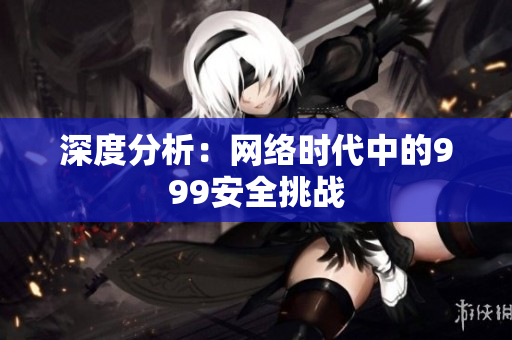 深度分析：网络时代中的999安全挑战