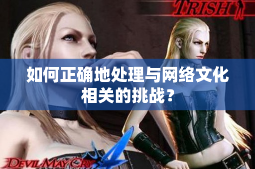 如何正确地处理与网络文化相关的挑战？
