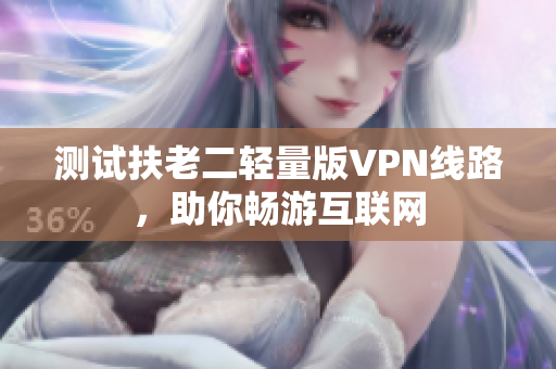 测试扶老二轻量版VPN线路，助你畅游互联网