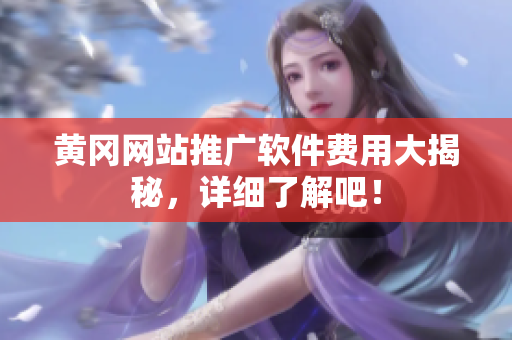 黄冈网站推广软件费用大揭秘，详细了解吧！