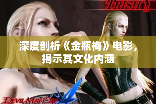 深度剖析《金瓶梅》电影，揭示其文化内涵