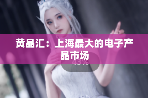 黄品汇：上海最大的电子产品市场