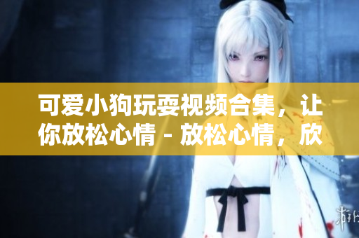 可爱小狗玩耍视频合集，让你放松心情 - 放松心情，欣赏这些可爱小狗的玩耍视频