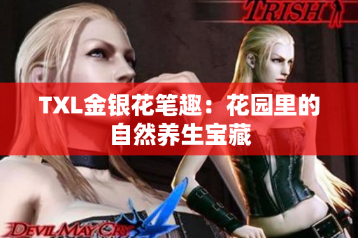 TXL金银花笔趣：花园里的自然养生宝藏