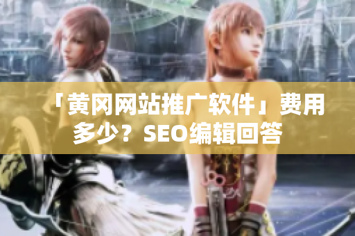 「黄冈网站推广软件」费用多少？SEO编辑回答