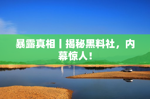 暴露真相丨揭秘黑料社，内幕惊人！