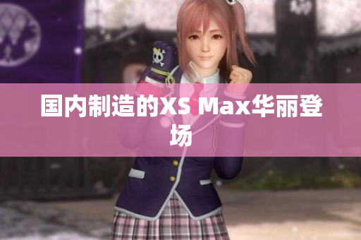 国内制造的XS Max华丽登场