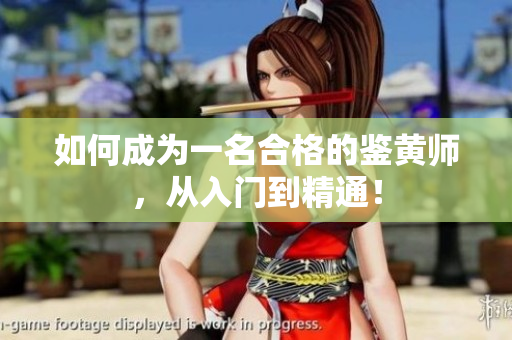 如何成为一名合格的鉴黄师，从入门到精通！