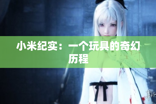 小米纪实：一个玩具的奇幻历程