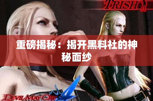 重磅揭秘：揭开黑料社的神秘面纱