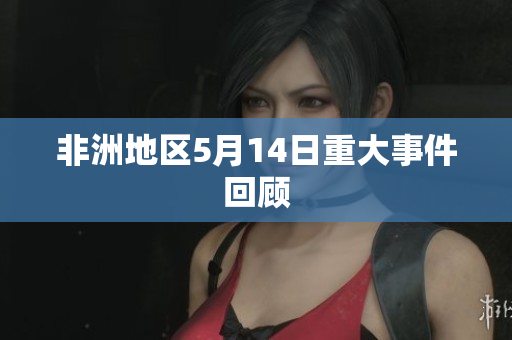 非洲地区5月14日重大事件回顾