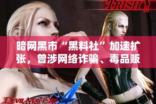 暗网黑市“黑料社”加速扩张，曾涉网络诈骗、毒品贩卖等犯罪活动