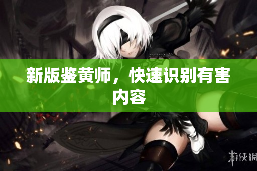 新版鉴黄师，快速识别有害内容