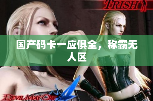 国产码卡一应俱全，称霸无人区