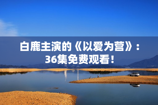 白鹿主演的《以爱为营》：36集免费观看！