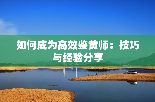 如何成为高效鉴黄师：技巧与经验分享