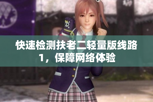 快速检测扶老二轻量版线路1，保障网络体验