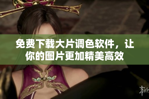 免费下载大片调色软件，让你的图片更加精美高效