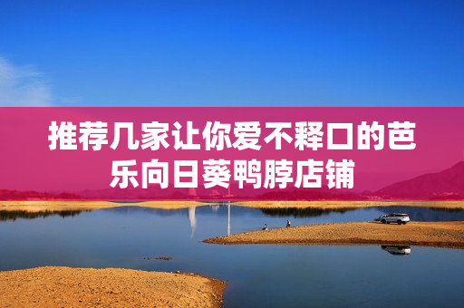 推荐几家让你爱不释口的芭乐向日葵鸭脖店铺