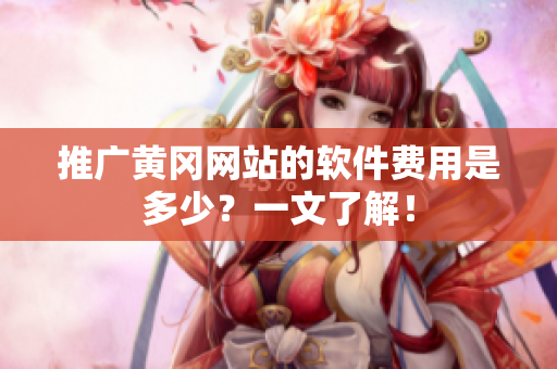 推广黄冈网站的软件费用是多少？一文了解！