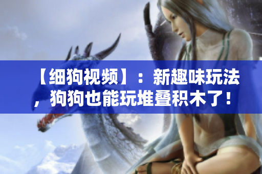 【细狗视频】：新趣味玩法，狗狗也能玩堆叠积木了！