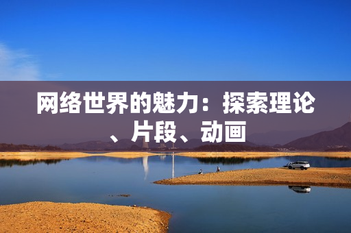 网络世界的魅力：探索理论、片段、动画