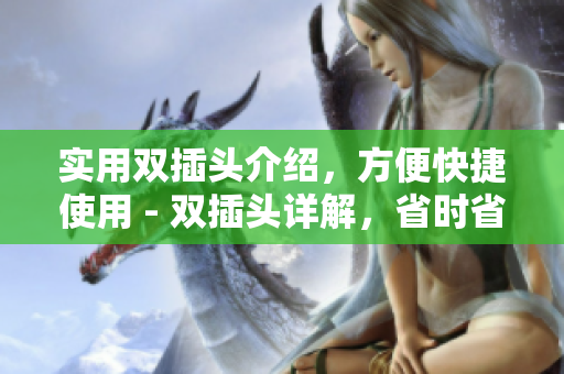 实用双插头介绍，方便快捷使用 - 双插头详解，省时省力又实用