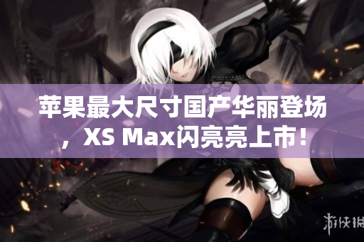 苹果最大尺寸国产华丽登场，XS Max闪亮亮上市！