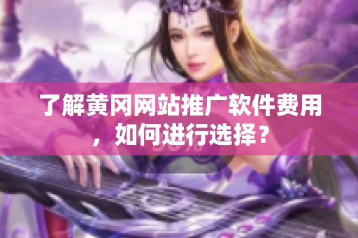 了解黄冈网站推广软件费用，如何进行选择？