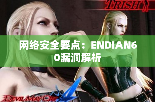 网络安全要点：ENDIAN60漏洞解析