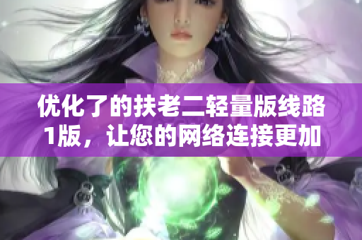 优化了的扶老二轻量版线路1版，让您的网络连接更加无忧！