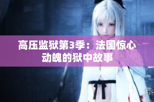 高压监狱第3季：法国惊心动魄的狱中故事