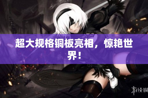 超大规格铜板亮相，惊艳世界！