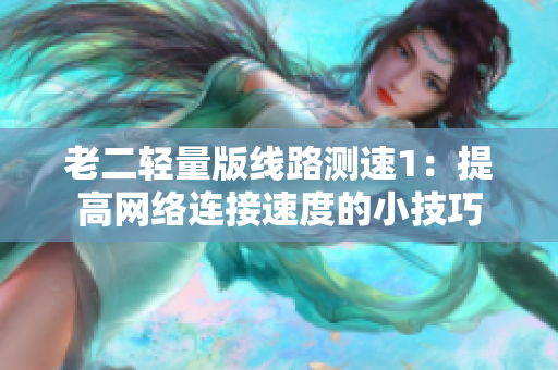 老二轻量版线路测速1：提高网络连接速度的小技巧