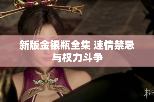 新版金银瓶全集 迷情禁忌与权力斗争