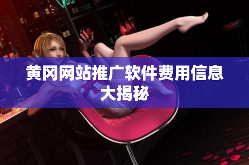 黄冈网站推广软件费用信息大揭秘