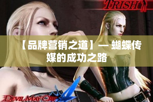 【品牌营销之道】— 蝴蝶传媒的成功之路