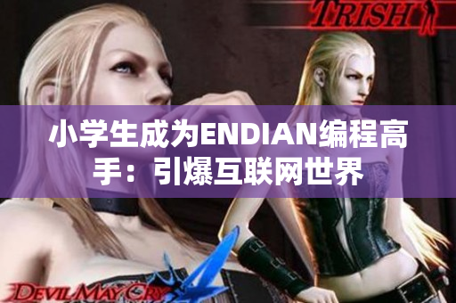 小学生成为ENDIAN编程高手：引爆互联网世界