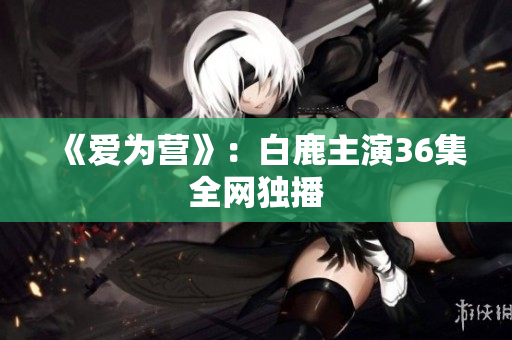 《爱为营》：白鹿主演36集全网独播